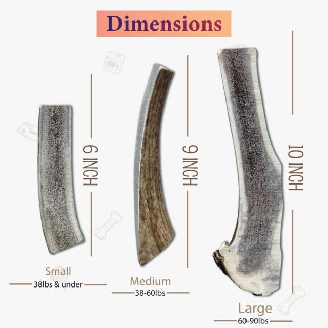 Premium Split Elk Antler for Dogs | size available ( Small, Medium, Large ) - Image 3