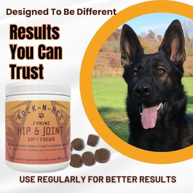 Hip & Joint Chews for Dogs – 60 Counts - Image 7