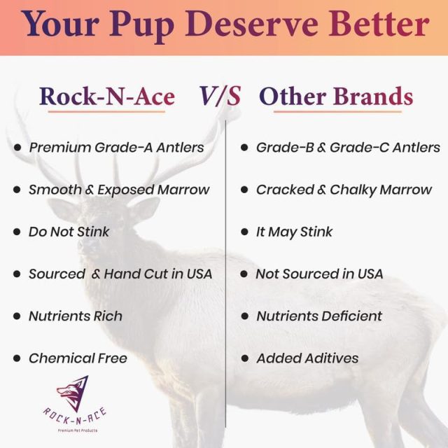 Premium Split Elk Antler for Dogs | size available ( Small, Medium, Large ) - Image 6