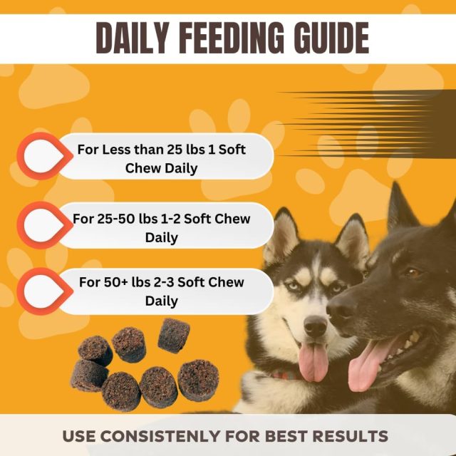 Hip & Joint Chews for Dogs – 60 Counts - Image 5