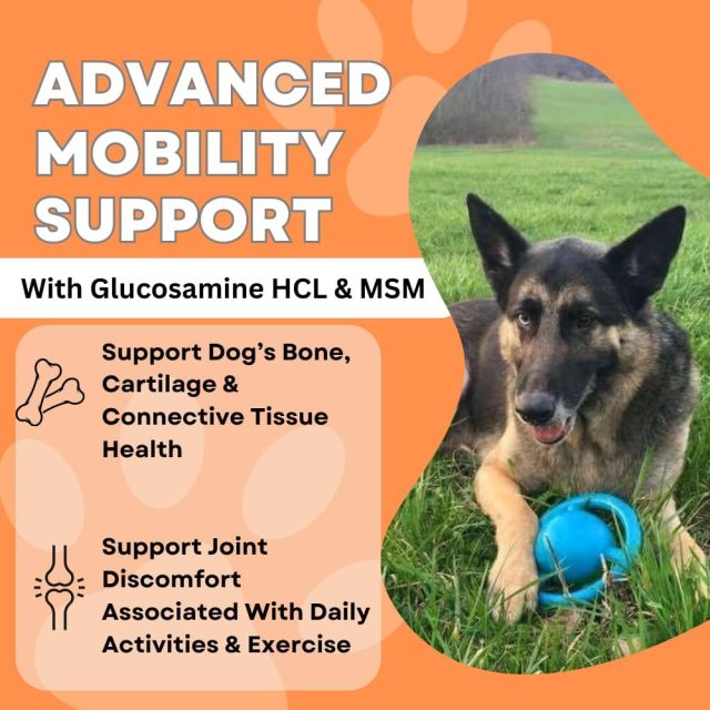 Hip & Joint Chews for Dogs – 60 Counts - Image 4