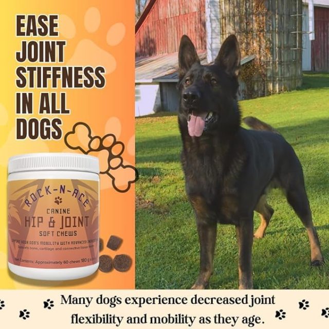 Hip & Joint Chews for Dogs – 60 Counts - Image 6
