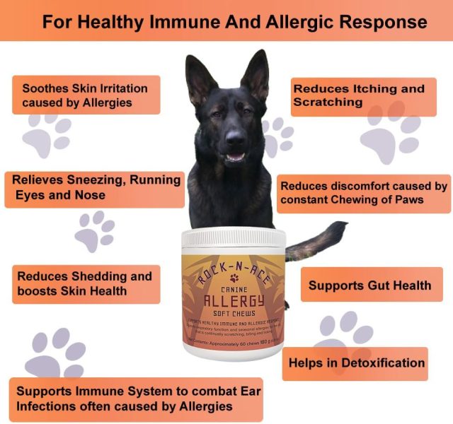 Canine Allergy Support Soft Chews – 60 Counts - Image 3