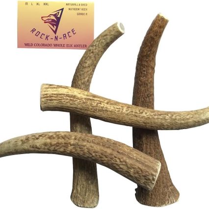 Premium Whole Elk Antler Dog Chew – 9–11'', Odorless & Long-Lasting for Aggressive Chewers (40–90 lbs)