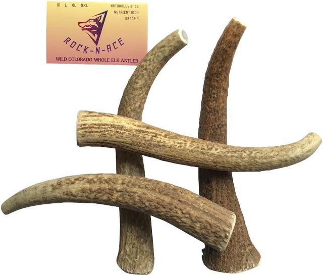 Premium Whole Elk Antler Dog Chew – 9–11'', Odorless & Long-Lasting for Aggressive Chewers (40–90 lbs)