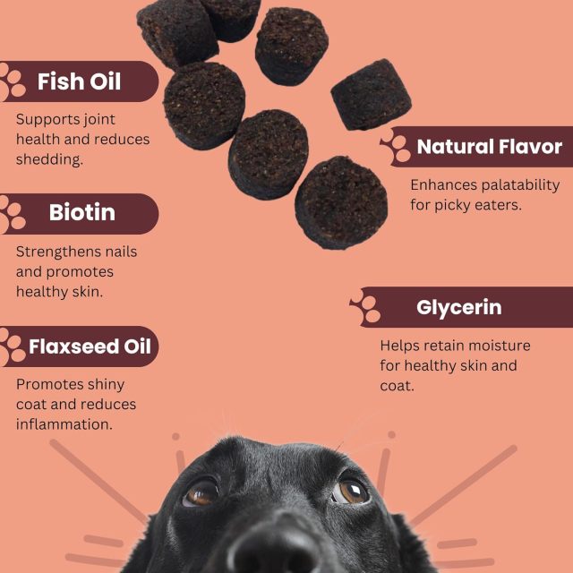 Rock N Ace Skin & Coat Chews for Dogs – 60 Counts - Image 3
