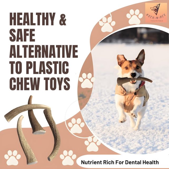 Premium Whole Elk Antler Dog Chew – 9–11'', Odorless & Long-Lasting for Aggressive Chewers (40–90 lbs) - Image 7