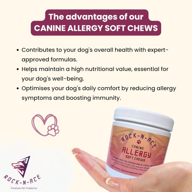 Canine Allergy Support Soft Chews – 60 Counts - Image 4