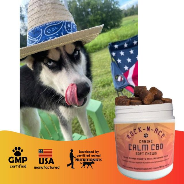 Calming Chews for Adult Dogs – 60 Soft Supplements - Image 2