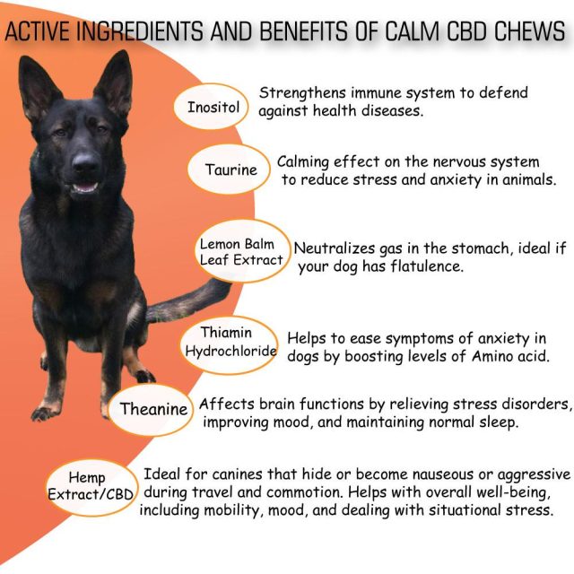 Calming Chews for Adult Dogs – 60 Soft Supplements - Image 5