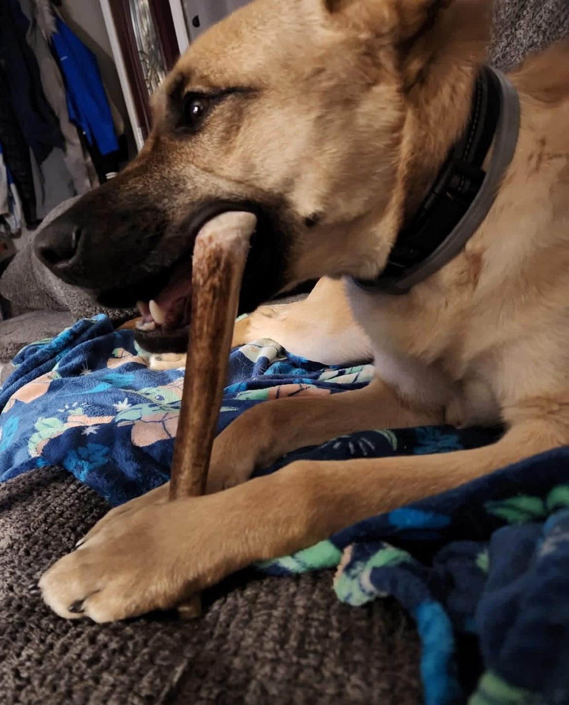 WhatsApp Image 2025-11-23 at 2.03.05 AM