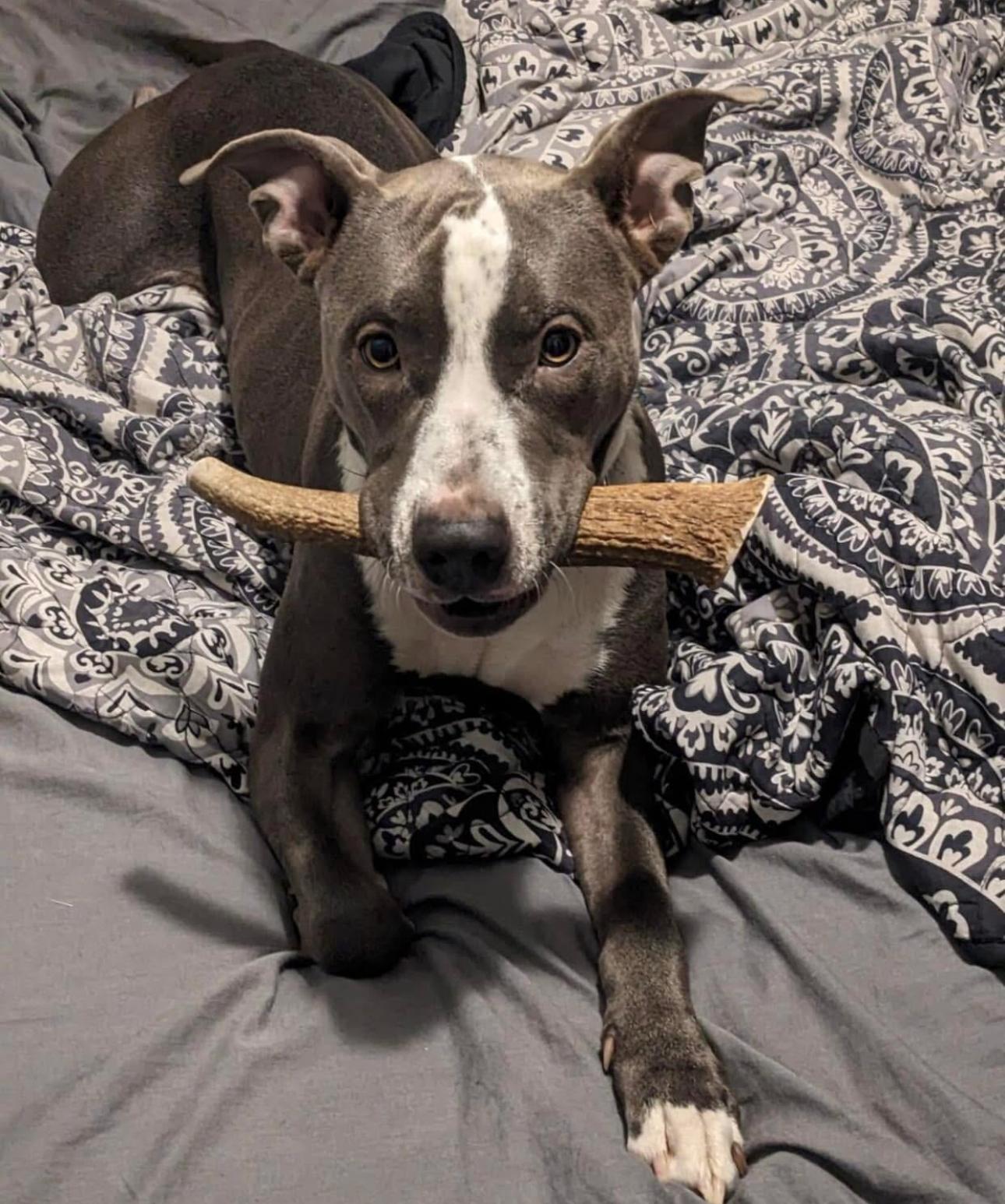 WhatsApp Image 2025-11-23 at 2.03.15 AM (1)