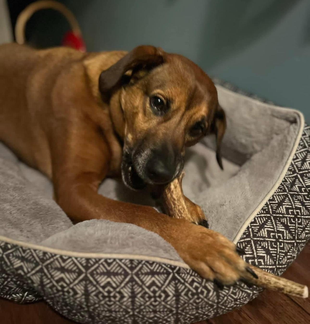 WhatsApp Image 2025-11-23 at 2.03.15 AM