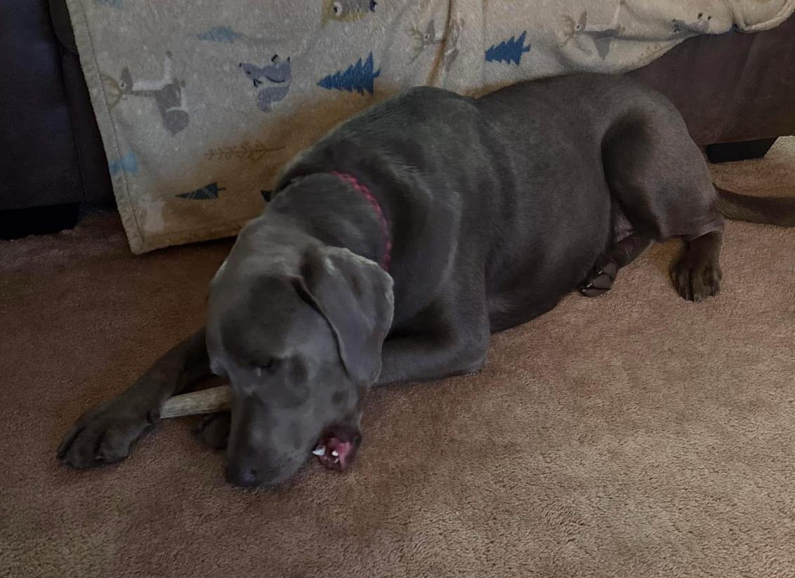 WhatsApp Image 2025-11-23 at 2.03.16 AM (1)