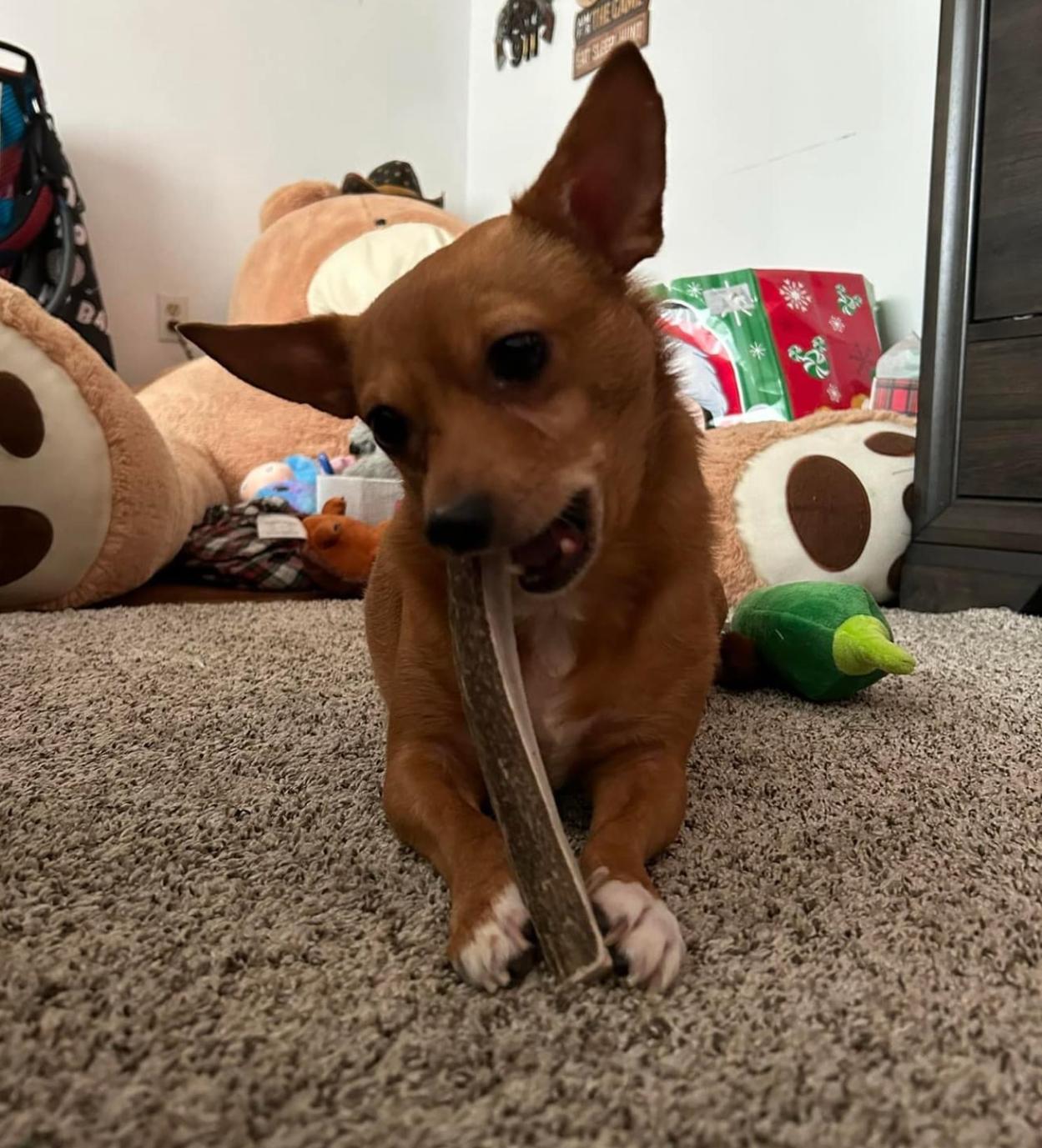 WhatsApp Image 2025-11-23 at 2.03.16 AM