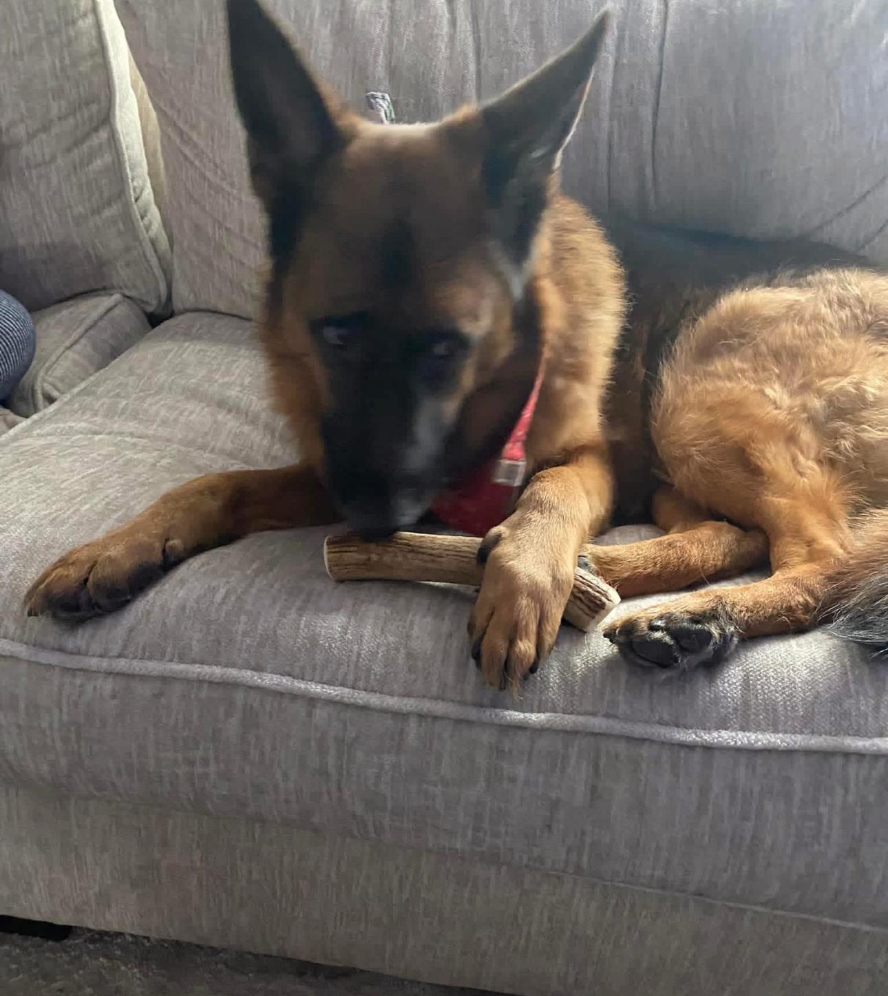 WhatsApp Image 2025-11-23 at 2.03.17 AM (1)