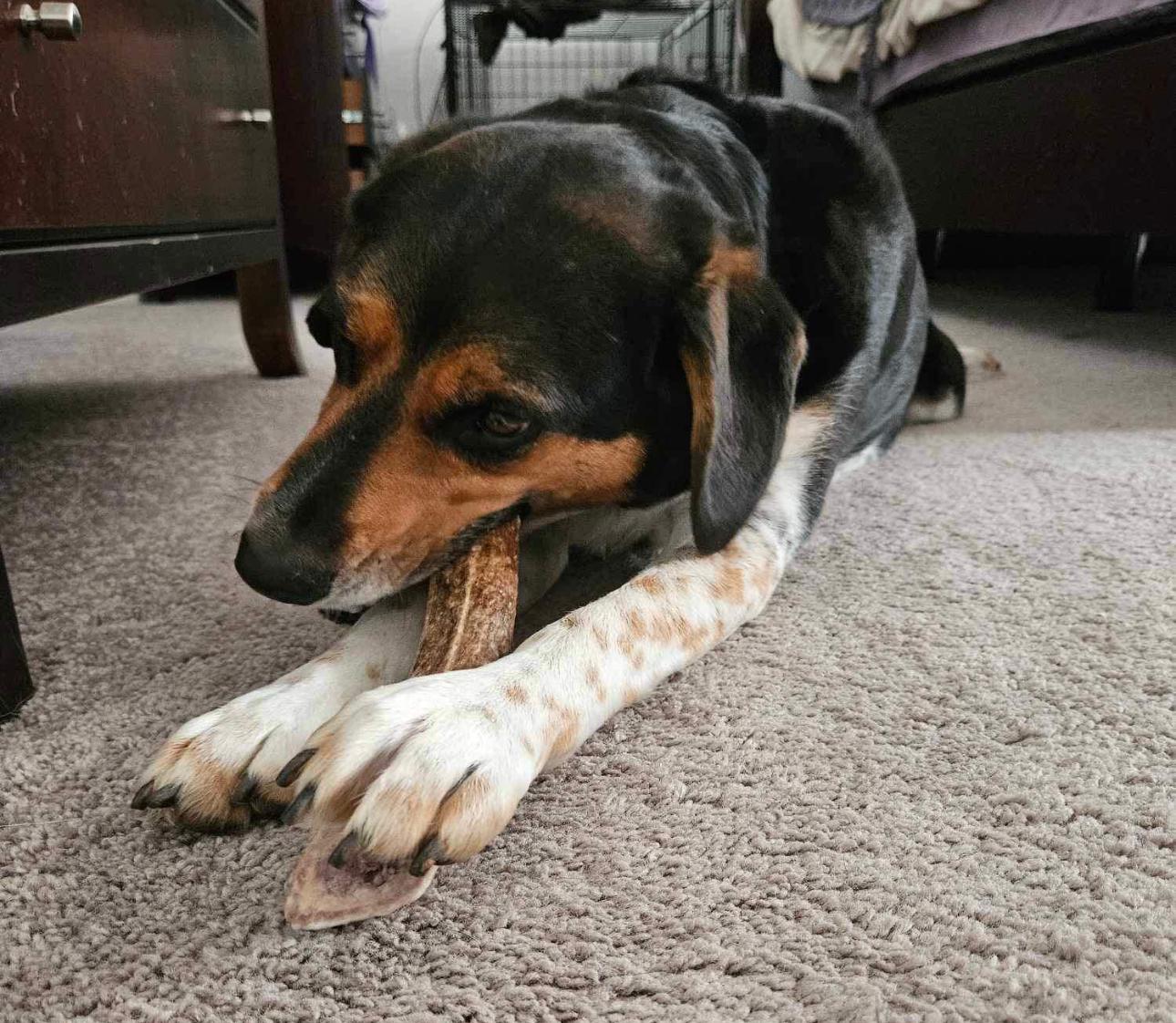 WhatsApp Image 2025-11-23 at 2.03.17 AM (2)