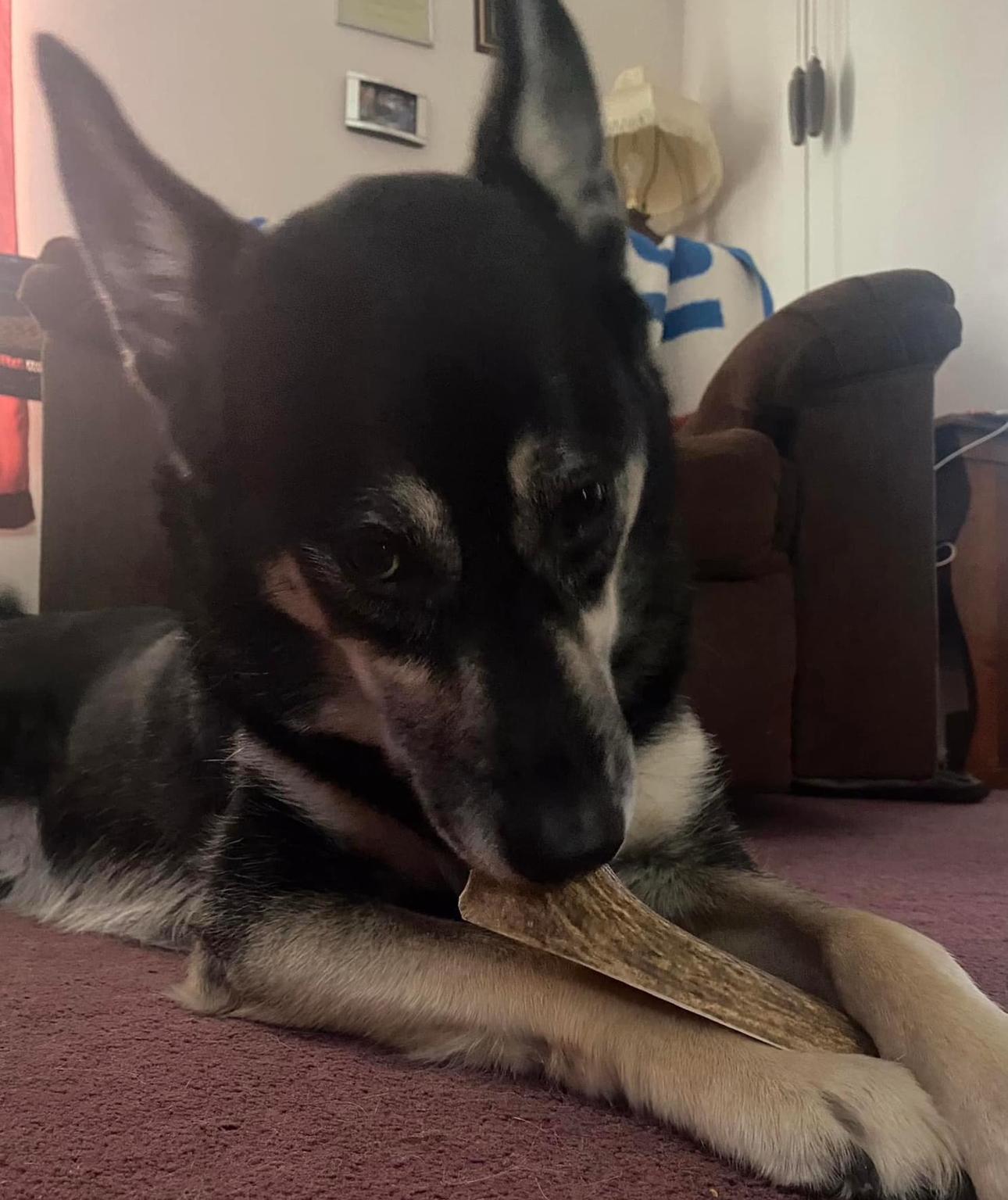 WhatsApp Image 2025-11-23 at 2.03.17 AM (3)