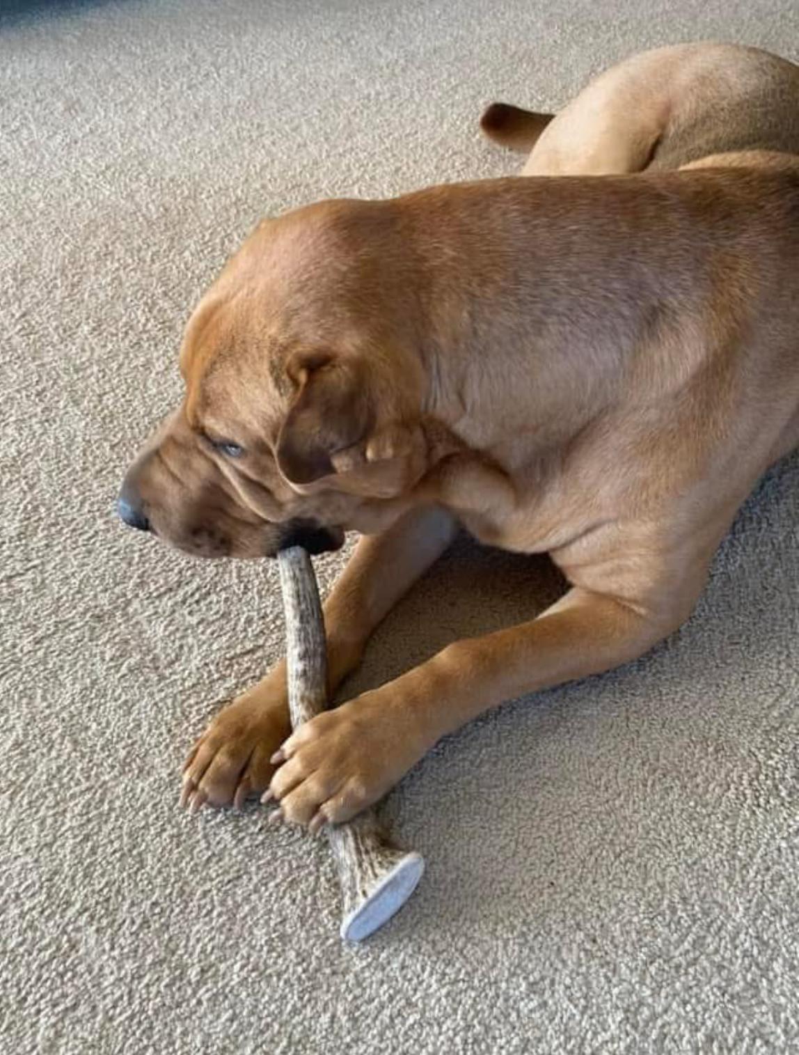 WhatsApp Image 2025-11-23 at 2.03.17 AM (4)