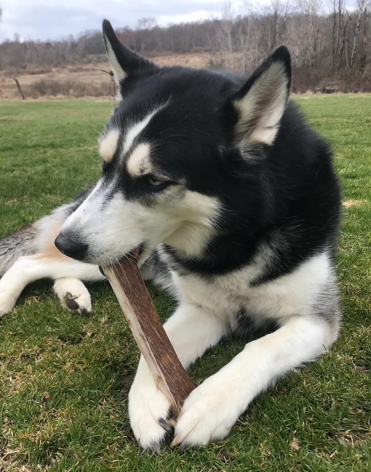 WhatsApp Image 2025-11-23 at 2.03.17 AM