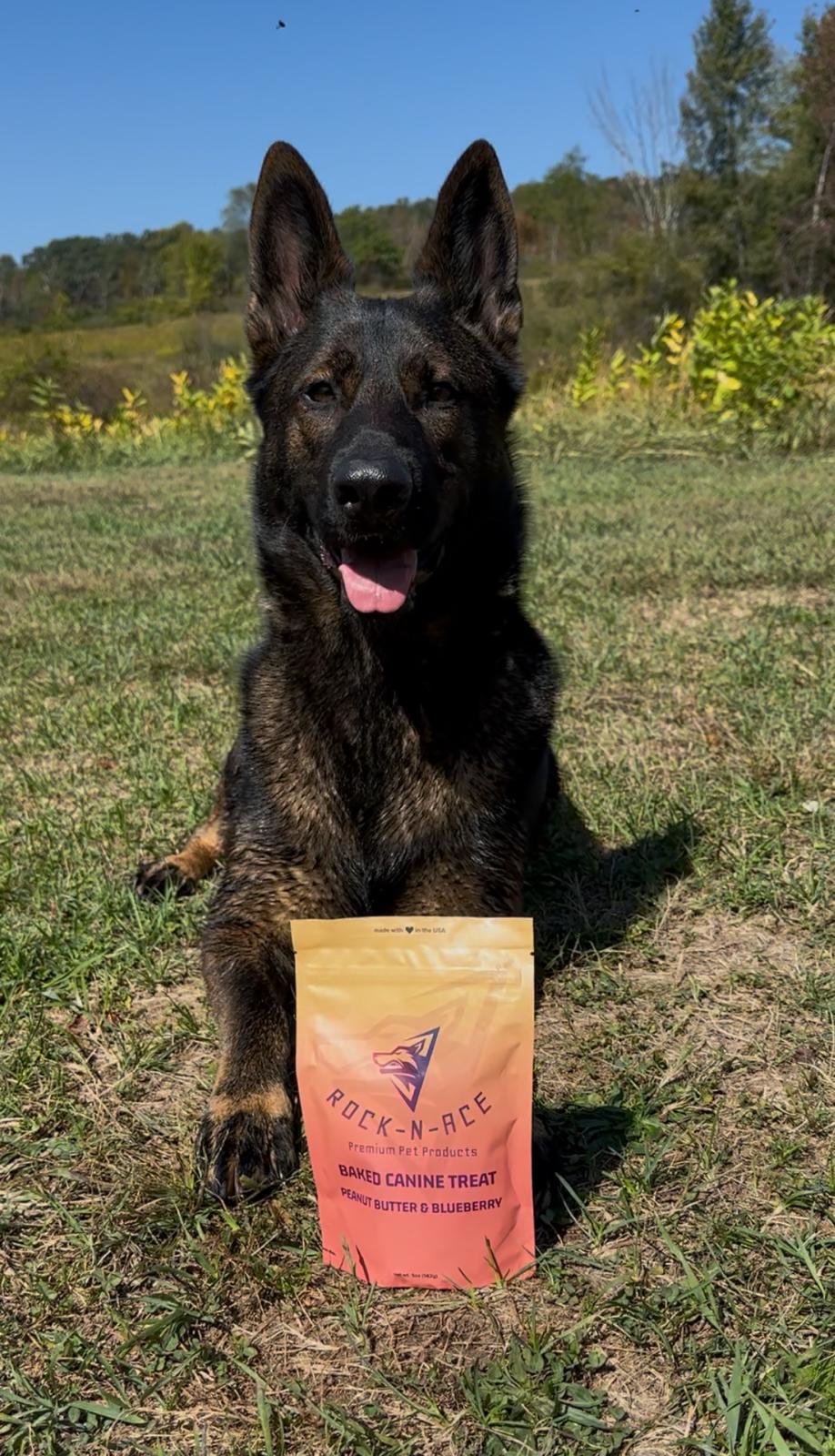 WhatsApp Image 2025-11-23 at 2.26.58 AM (1)