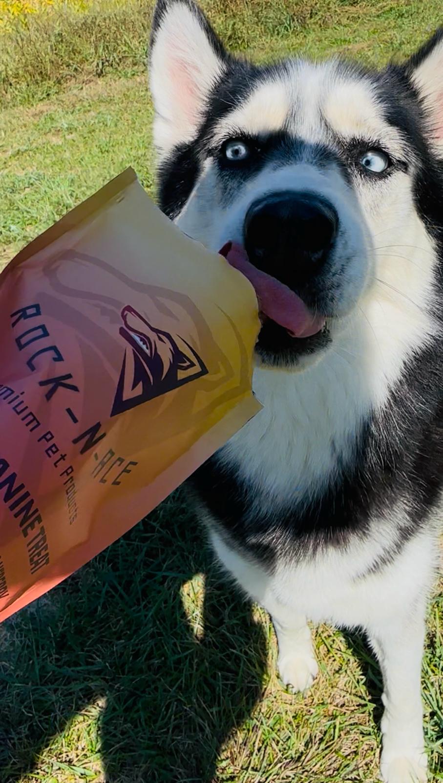 WhatsApp Image 2025-11-23 at 2.26.58 AM