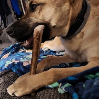 WhatsApp Image 2025-11-23 at 2.03.05 AM