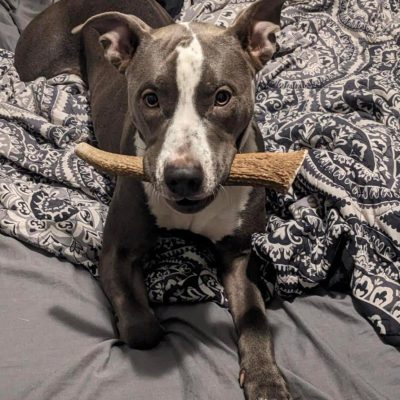 WhatsApp Image 2025-11-23 at 2.03.15 AM (1)