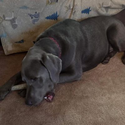 WhatsApp Image 2025-11-23 at 2.03.16 AM (1)