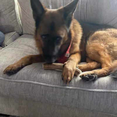 WhatsApp Image 2025-11-23 at 2.03.17 AM (1)