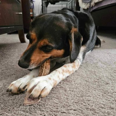 WhatsApp Image 2025-11-23 at 2.03.17 AM (2)