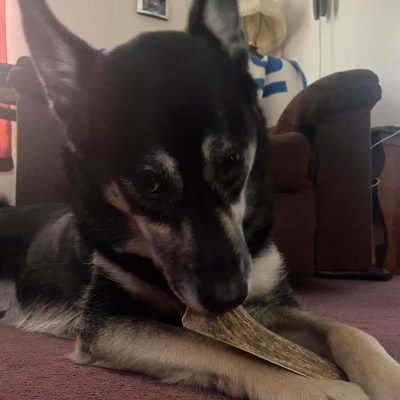 WhatsApp Image 2025-11-23 at 2.03.17 AM (3)