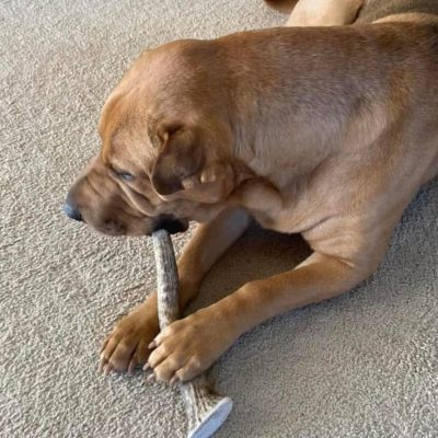 WhatsApp Image 2025-11-23 at 2.03.17 AM (4)