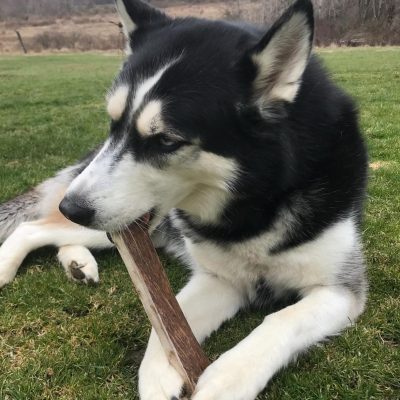 WhatsApp Image 2025-11-23 at 2.03.17 AM