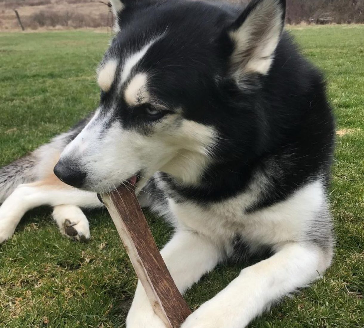 photo_2026-01-04_01-51-23