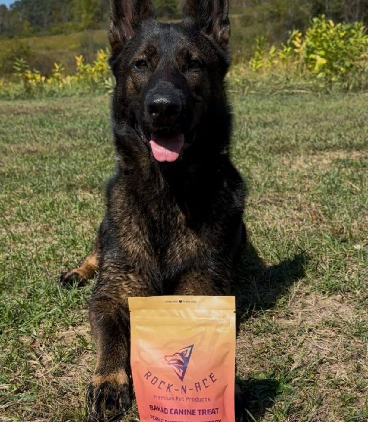 photo_2026-01-04_02-16-39