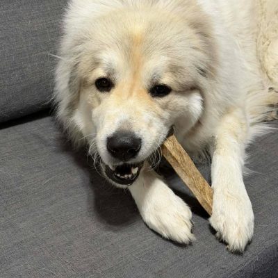 photo_2026-01-07_01-41-49