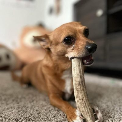 photo_2026-01-07_02-15-46