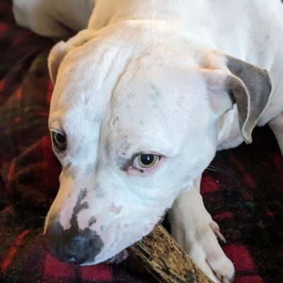 photo_2026-01-07_02-32-15