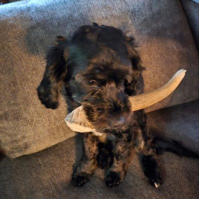 photo_2026-01-07_02-33-45