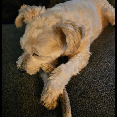 photo_2026-01-07_02-36-52