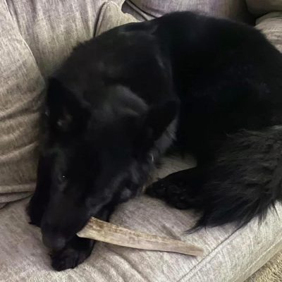 photo_2026-01-07_03-25-30