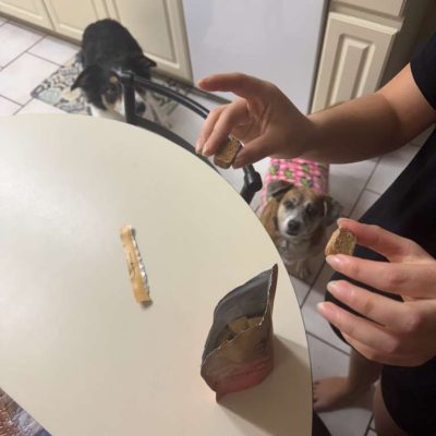 photo_2026-01-15_02-26-11