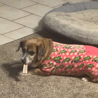 photo_2026-01-15_02-28-30